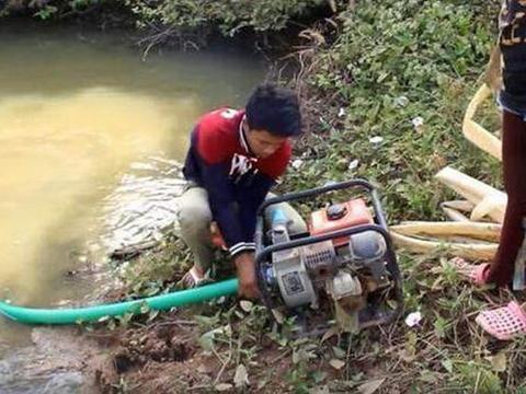 抓鱼视频爆料大全最新,揭秘水下奇观与神秘生物