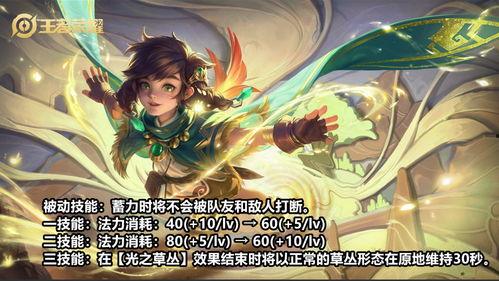 王者皮肤爆料最新桑启,王者峡谷中的绿野仙踪