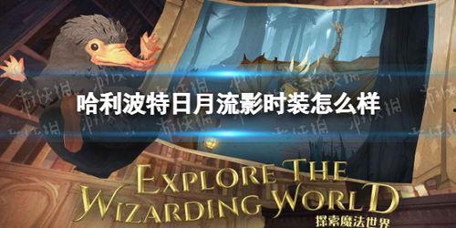 哈利波特一月最新爆料,神秘新篇章，一月爆料揭示神秘力量与未知命运